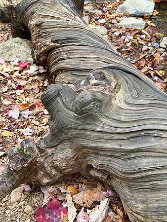Twisted
