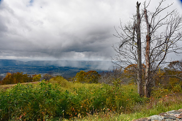Storm Line