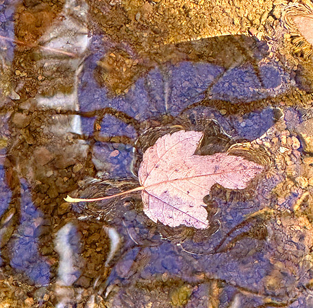 Ripples, reflections and sparkles
