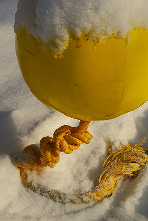 Winter Color