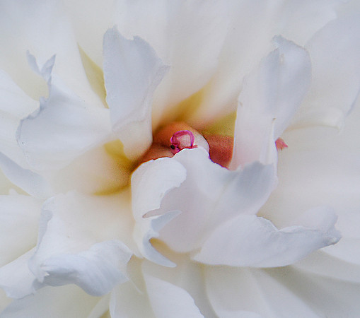 Center detail