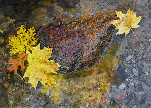Fall Floaters