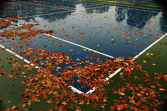 Jane's Court