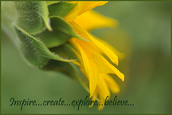 Inspire, Create