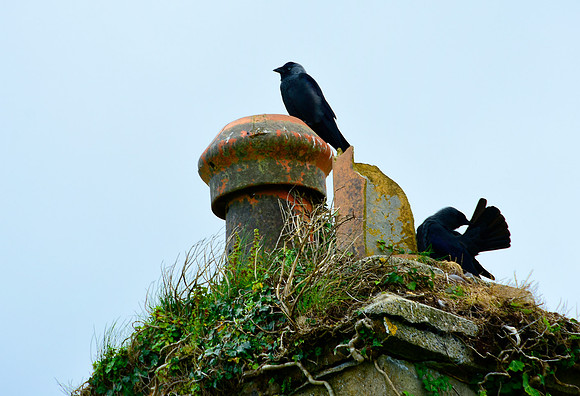 The lookout