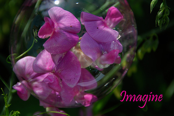 Imagine