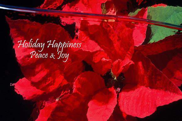 HolidayHappiness Peace and Joy