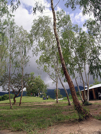 African School
