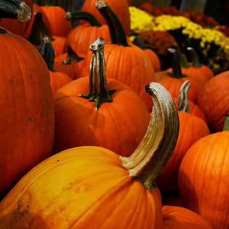 Pumpkins