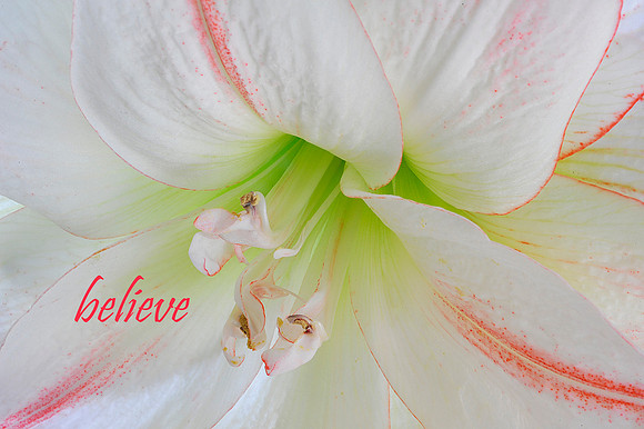 Believe
