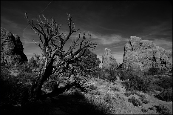 Utah Mid-Morning