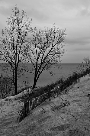 Indiana Dunes I