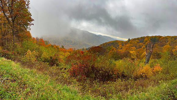 Mountain Fog