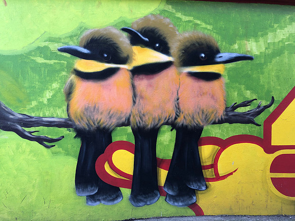 3 Birds