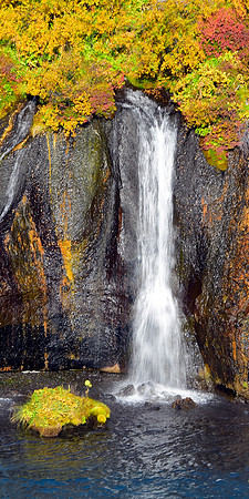 Tall Fall
