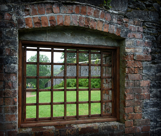 Garden Window