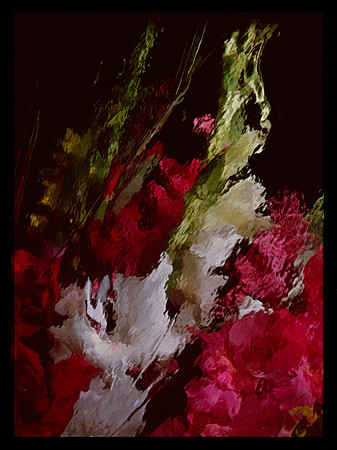 Gladiolas