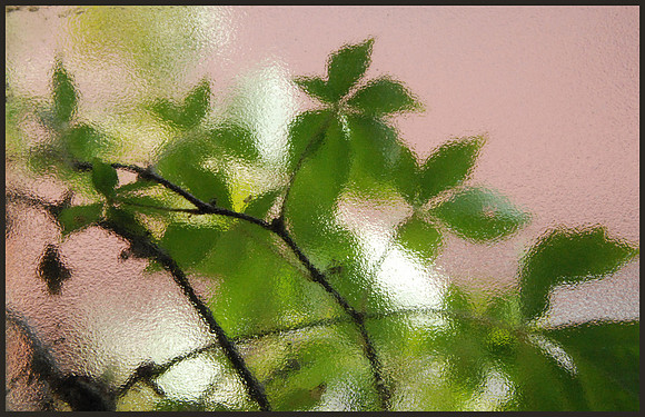 Through my window