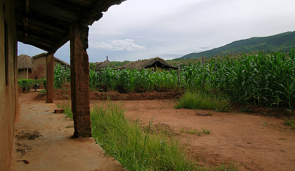 African village and corn